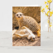 Kutest Baby Animals | Speelgoed Meerkats Kaart (Gele Bloem)