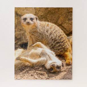 Kutest Baby Animals   Speelgoed Meerkats Legpuzzel