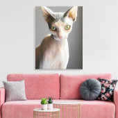 Kutest Baby Animals | Sphinx Cat Canvas Afdruk (Insitu (Woonkamer))