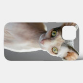 Kutest Baby Animals | Sphinx Cat Case-Mate iPhone Case (Achterkant (horizontaal))