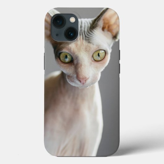 Kutest Baby Animals | Sphinx Cat Case-Mate iPhone Case (Achterkant)