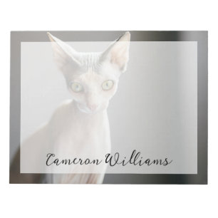 Kutest Baby Animals   Sphinx Cat Notitieblok