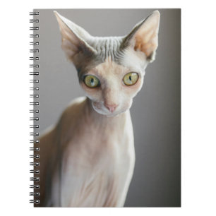 Kutest Baby Animals Sphinx Cat Notitieboek
