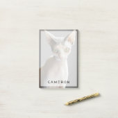 Kutest Baby Animals | Sphinx Cat Post-it® Notes (Op bureau)