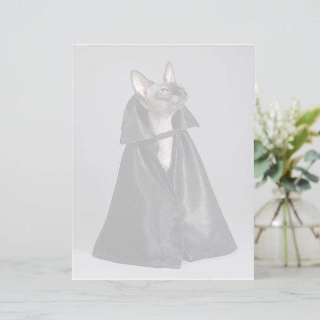 Kutest Baby Animals | Sphynx Hairless Cat (Staand voorkant)