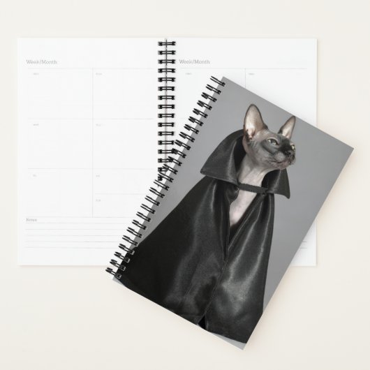 Kutest Baby Animals | Sphynx Hairless Cat Planner (Display)