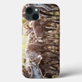 Kutest Baby Animals | Svalbard Reindeer Case-Mate iPhone Case (Achterkant)
