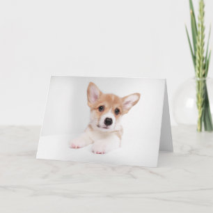Kutest Baby Animals Sweet Baby Corgi Kaart