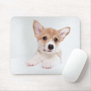 Kutest Baby Animals   Sweet Baby Corgi Muismat