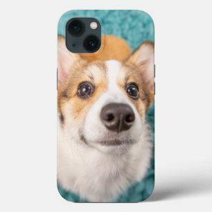 Kutest Baby Animals Sweet Corgi Puppy Face iPhone 13 Hoesje