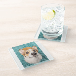 Kutest Baby Animals Sweet Corgi Puppy Face Glazen Onderzetter