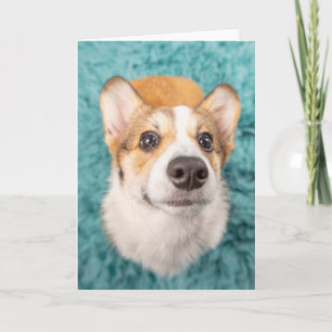 Kutest Baby Animals Sweet Corgi Puppy Face Kaart