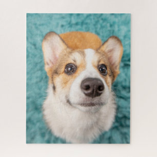 Kutest Baby Animals   Sweet Corgi Puppy Face Legpuzzel