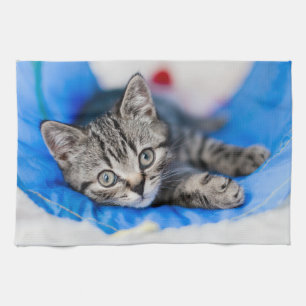 Kutest Baby Animals Tabby Kitten in Play Tunnel Theedoek