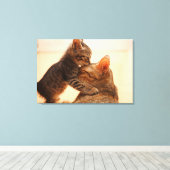 Kutest Baby Animals | Tabby Kitten Kiss Canvas Afdruk (Insitu (Houten vloer))