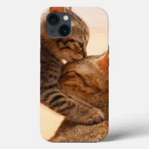 Kutest Baby Animals Tabby Kitten Kiss iPhone 13 Hoesje