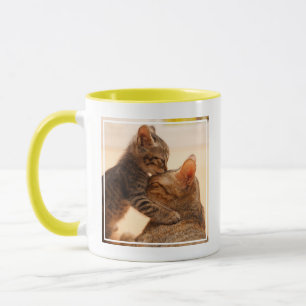 Kutest Baby Animals   Tabby Kitten Kiss Mok