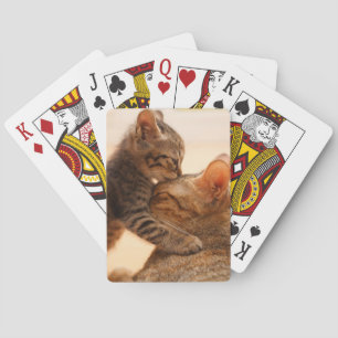 Kutest Baby Animals   Tabby Kitten Kiss Pokerkaarten
