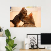 Kutest Baby Animals | Tabby Kitten Kiss Poster (Thuiskantoor)