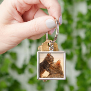 Kutest Baby Animals Tabby Kitten Kiss Sleutelhanger