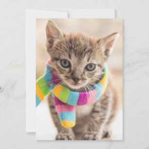 Kutest Baby Animals Tabby Kitten Rainbow Scarf Bedankkaart