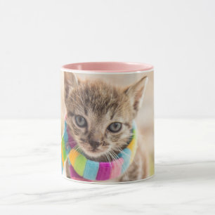 Kutest Baby Animals   Tabby Kitten Rainbow Scarf Mok