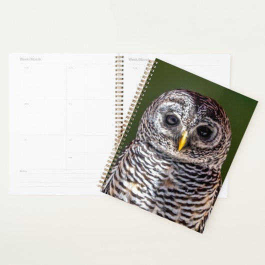 Kutest Baby Animals | Tawny Owl Planner (Display)