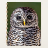 Kutest Baby Animals | Tawny Owl Planner (Voorkant)