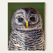Kutest Baby Animals | Tawny Owl Planner (Achterkant)