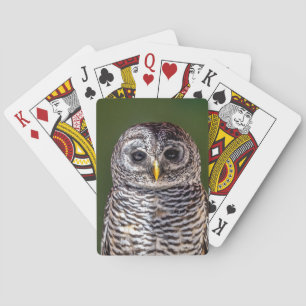 Kutest Baby Animals Tawny Owl Pokerkaarten