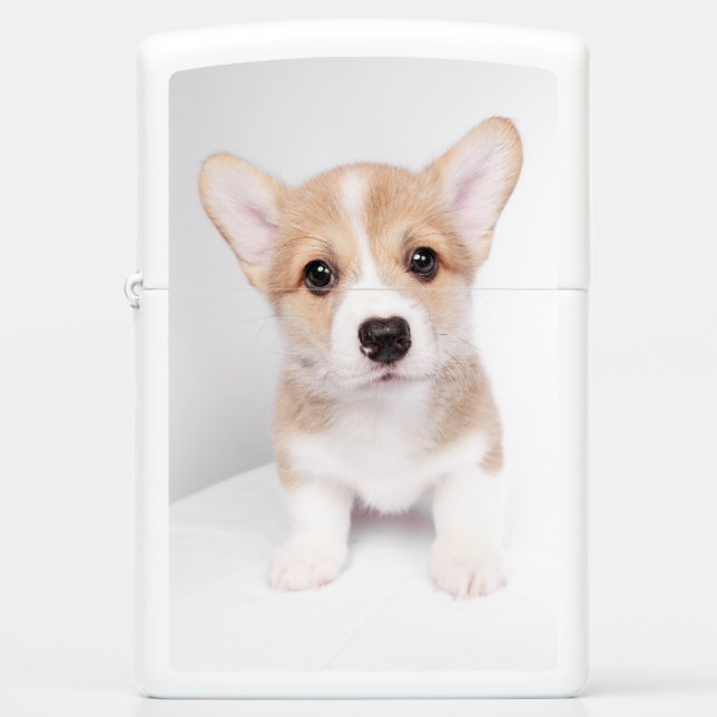 Kutest Baby Animals | Tiny Corgi (Voorkant)