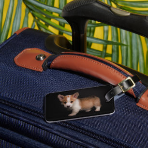 Kutest Baby Animals Tiny Corgi Bagagelabel
