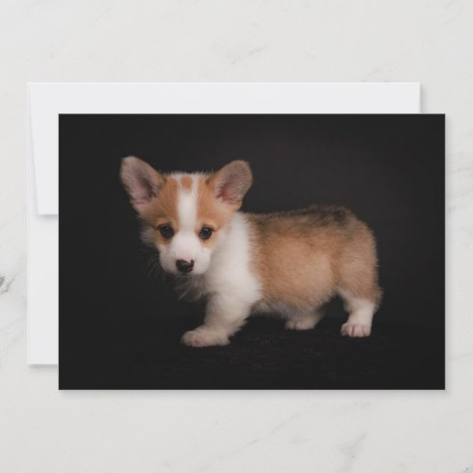Kutest Baby Animals | Tiny Corgi Bedankkaart (Voorkant)