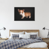 Kutest Baby Animals | Tiny Corgi Canvas Afdruk (Insitu (Slaapkamer))