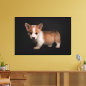 Kutest Baby Animals | Tiny Corgi Canvas Afdruk (Insitu (Woonkamer))