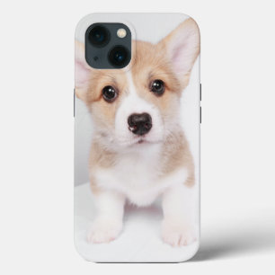 Kutest Baby Animals Tiny Corgi iPhone 13 Hoesje