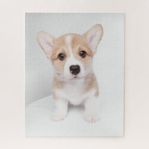Kutest Baby Animals   Tiny Corgi Legpuzzel