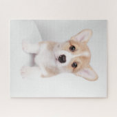 Kutest Baby Animals | Tiny Corgi Legpuzzel (Horizontaal)