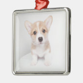 Kutest Baby Animals | Tiny Corgi Metalen Ornament (Links)