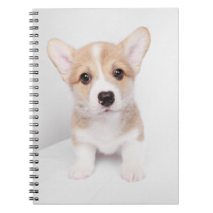 Kutest Baby Animals Tiny Corgi Notitieboek