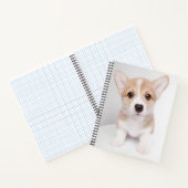Kutest Baby Animals | Tiny Corgi Notitieboek (Binnen)