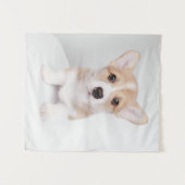 Kutest Baby Animals | Tiny Corgi Wandkleed (Voorkant (horizontaal))