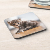 Kutest Baby Animals | Tiny Tabby Kitten Bier Onderzetter (Linkerzijde)