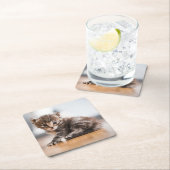 Kutest Baby Animals | Tiny Tabby Kitten Vierkante Kartonnen Onderzetter (Insitu)