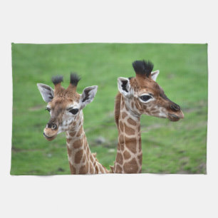 Kutest Baby Animals   Twee Baby Giraffe Theedoek