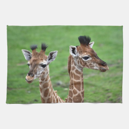 Kutest Baby Animals | Twee Baby Giraffe Theedoek (Horizontaal)