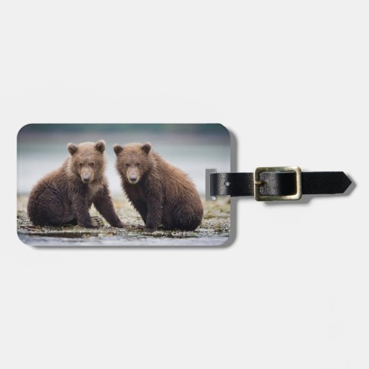 Kutest Baby Animals | Twee Beer kubussen Bagagelabel (Voorkant horizontaal)