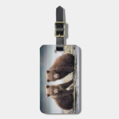 Kutest Baby Animals | Twee Beer kubussen Bagagelabel (Voorkant verticaal)