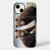 Kutest Baby Animals | Twee Beer kubussen Case-Mate iPhone Case (Achterkant)