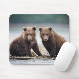 Kutest Baby Animals   Twee Beer kubussen Muismat